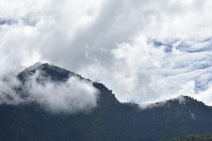 Betting on Ipl 2024 in Uttarakhand: Complete 2026 Guide for Indian Players